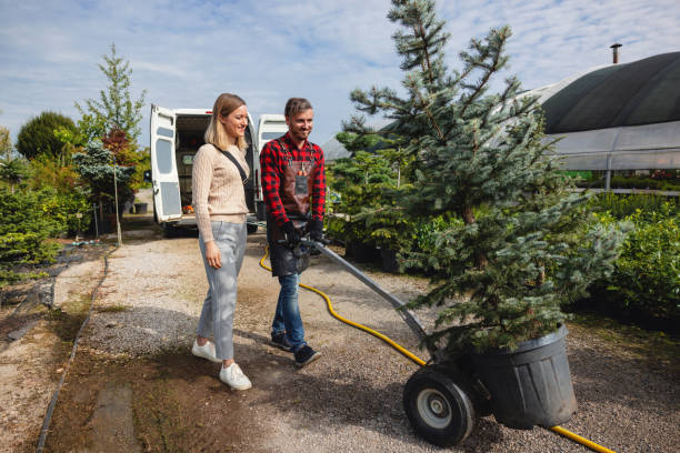 Lawn Irrigation Installation and Maintenance