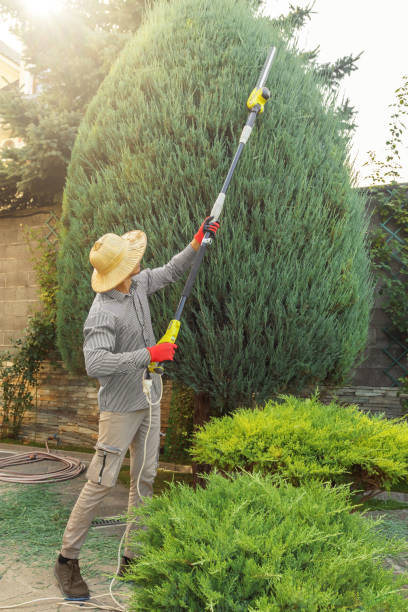 Best Lawn Pest Prevention  in Caway, AR